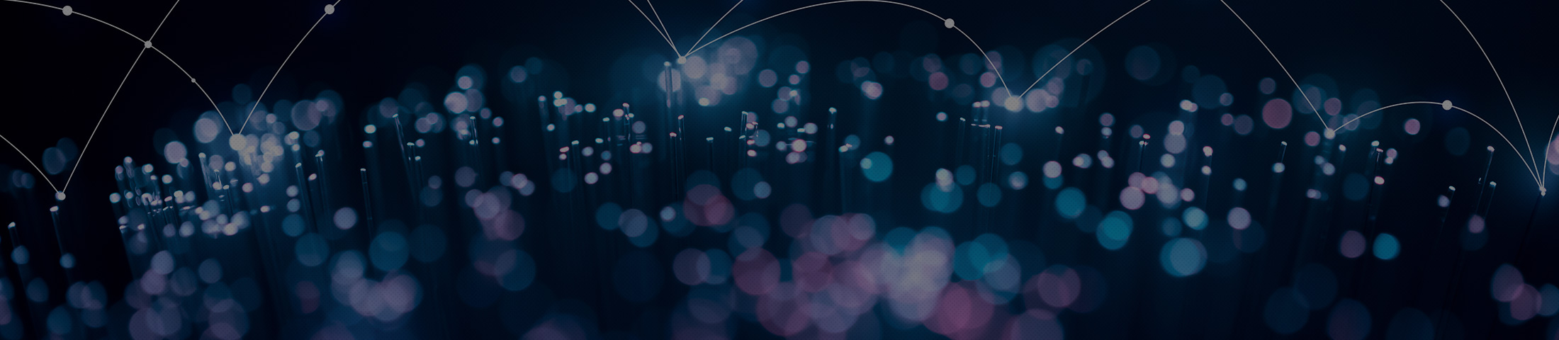 상단이미지영역